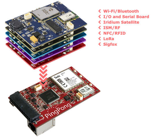 PingPong supports numerous expansion cards