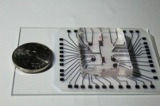 Super cheap ‘lab-on-a-chip’