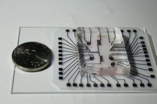 1 Cent Lab-On-A-Chip For Early Diagnostics