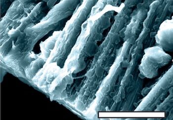 New Batteries with 3 & 15 Times Energy Density