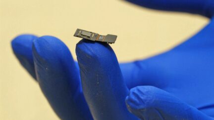 Flat microscope for the brain could help restore lost eyesight