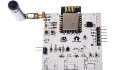 LoRaCatKitty: Build IoT Applications with LoRa in 3 steps!