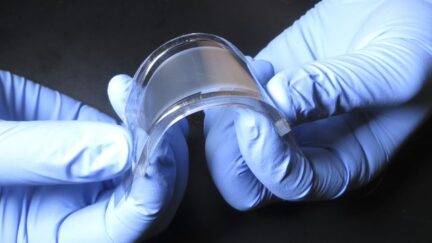 Researchers Developed New Efficient, Thin, and Flexible Cooling Device