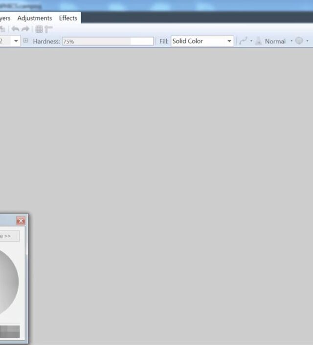use paint dot net