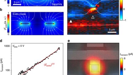Femtosecond Electronics With Plasmonic Hot Electron Nano-emitters