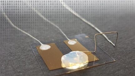 Single Atom Transistor With Ultra-low Power Consumption