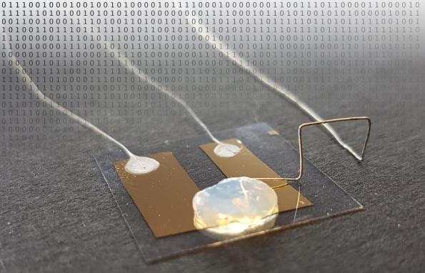 Single Atom Transistor With Ultra-low Power Consumption