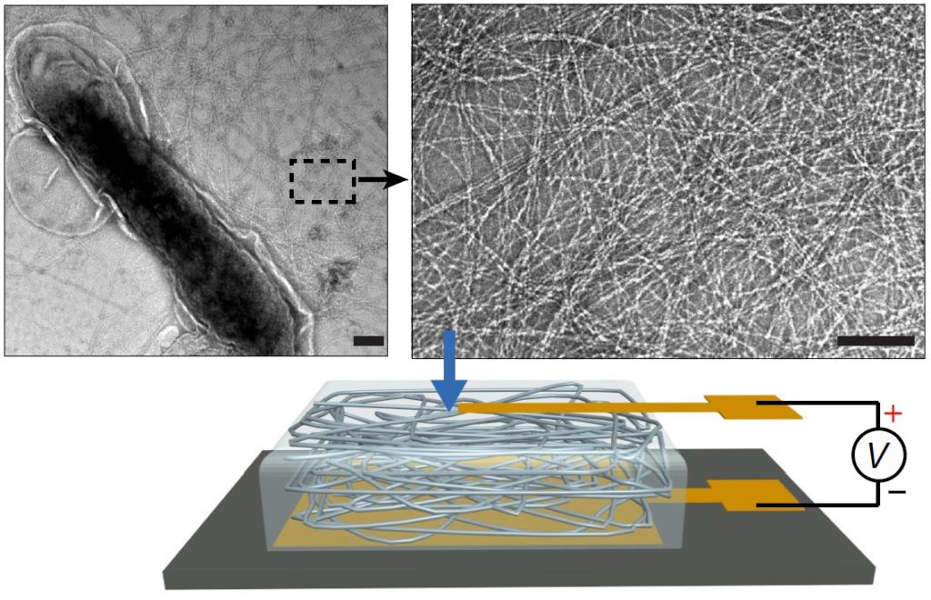 Ambient humidity energy harvesters could compete with solar cells Ambient humidity energy harvesters could compete with solar cells
