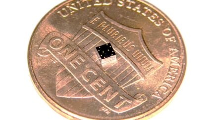 Compact Non-Invasive Sensor Chip Developed to Record Multiple Heart and Lung Signals