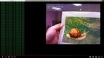 Youtubecoral-768x431.jpg.pagespeed.ce_.yimmQhnNZ5-150x84.jpg