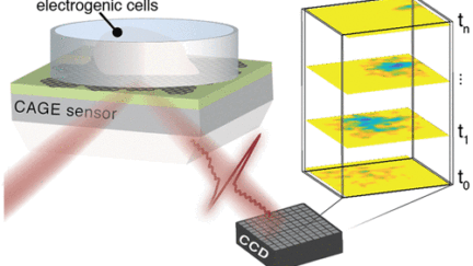 Researchers Develop a Graphene Based Sensor to Visualize Electric Fields