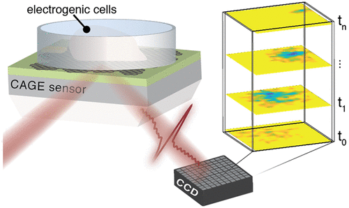 Researchers Develop a Graphene Based Sensor to Visualize Electric Fields