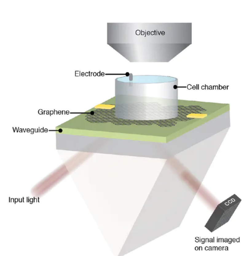 Researchers Develop a Graphene Based Sensor to Visualize Electric ...