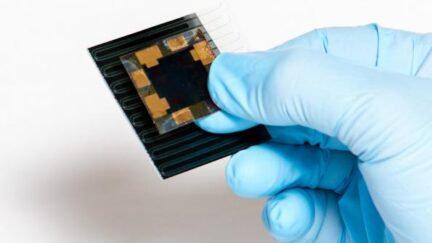 Solliance sets records for perovskite solar cells at 29.2 per cent