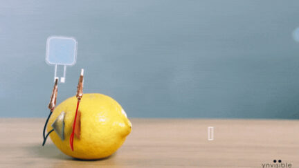 Ynvisible introduces a low-power printed e-paper display for high-reliability applications