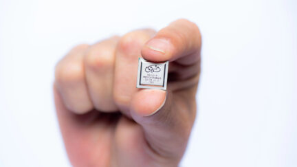 Hailo Expands Hailo-8 AI Accelerator Portfolio, Delivering Unprecedented Performance to a Diverse Range of Edge AI Applications