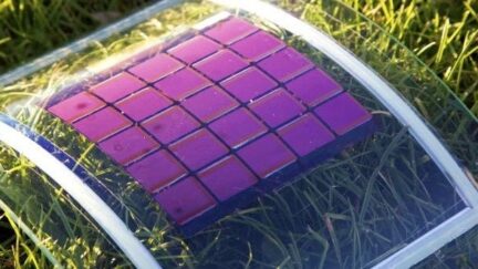 Organic Photovoltaic Solar Cells: Conventional Structure Achieving Over 20% Power Conversion Efficiency in Lab