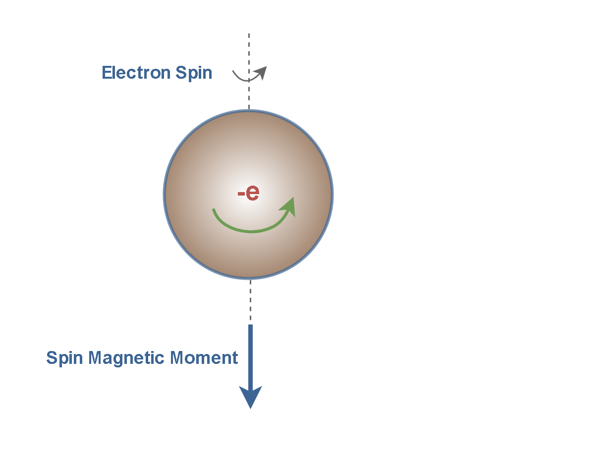Figure 3: The electron intrinsic spin acts as a rotating charge forming a magnetic field