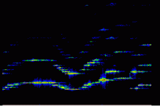 Frequency Analyzer