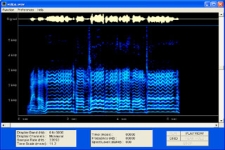 Spectrogram 16